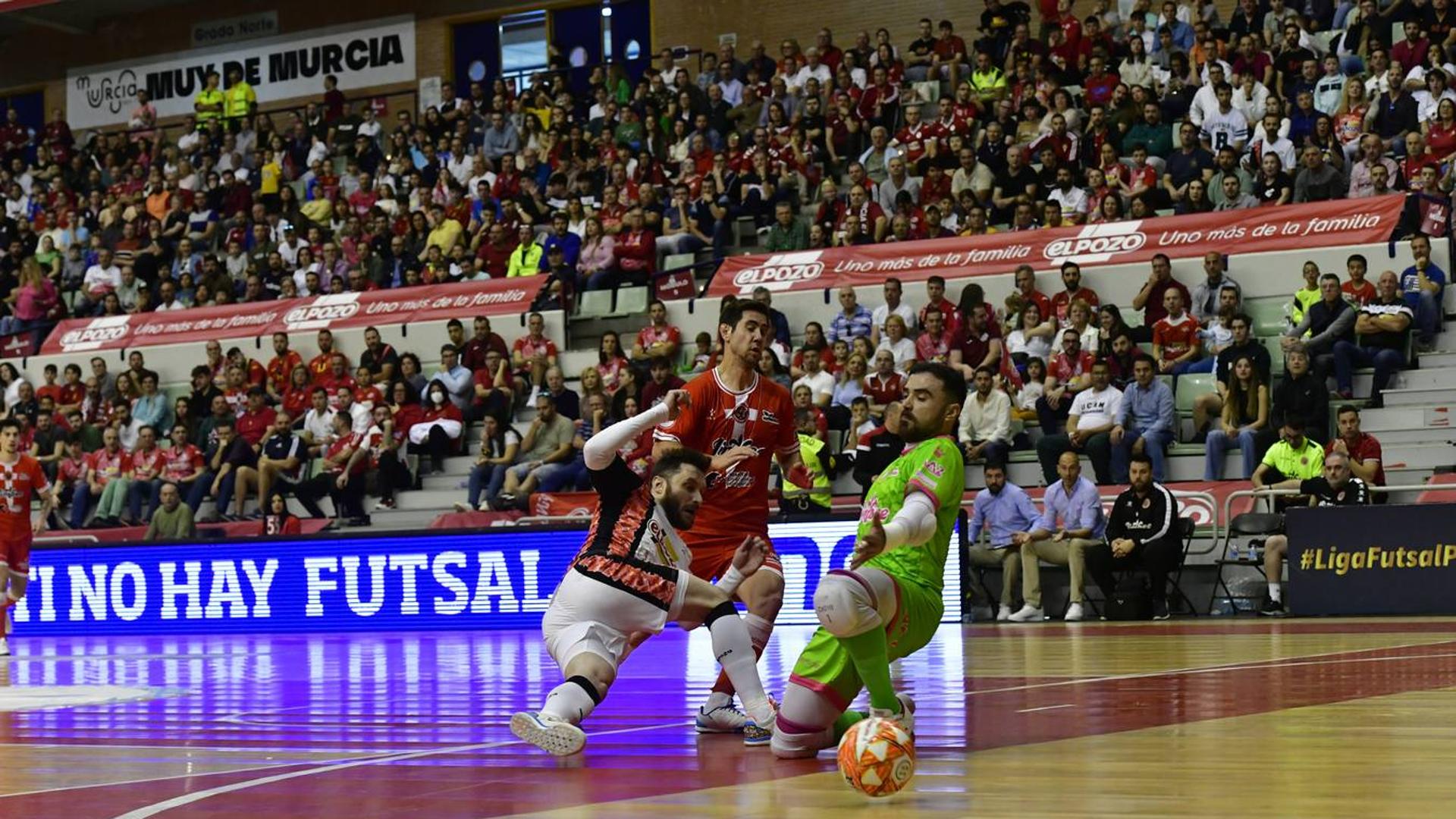 ElPozo y Jimbee jugarán su primer derbi el 19 de agosto en San Pedro del Pinatar