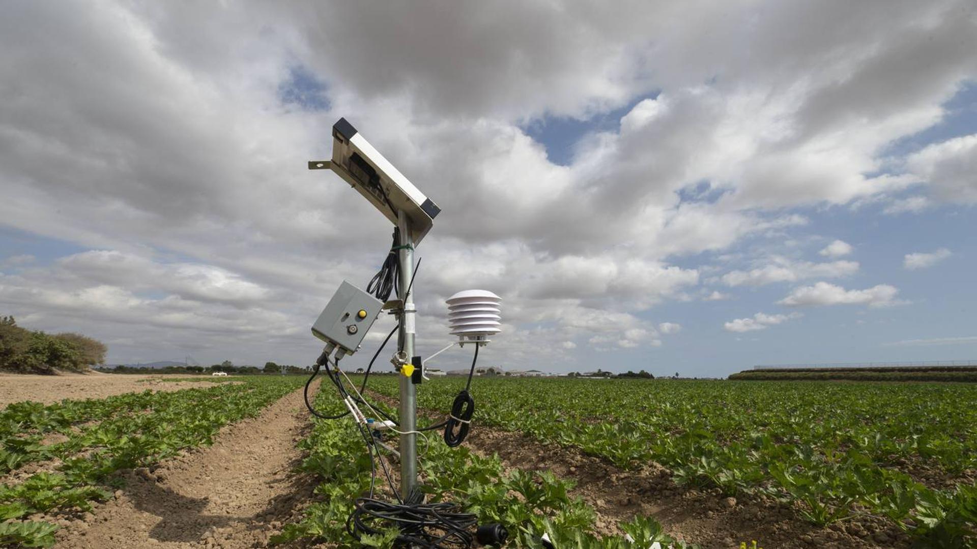 Las sondas del Campo de Cartagena muestran «la reducción del uso de agua y fertilizantes»