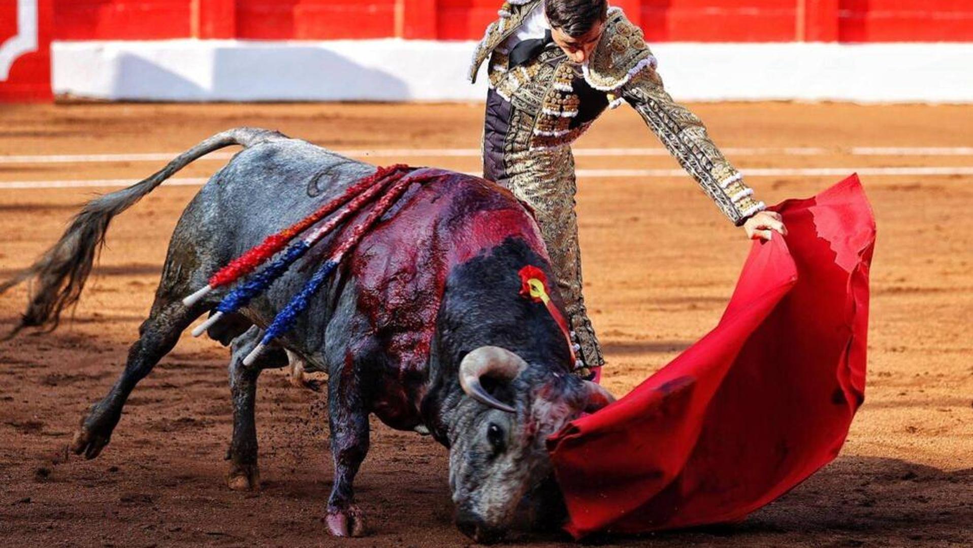 Ureña corta una oreja en Santander