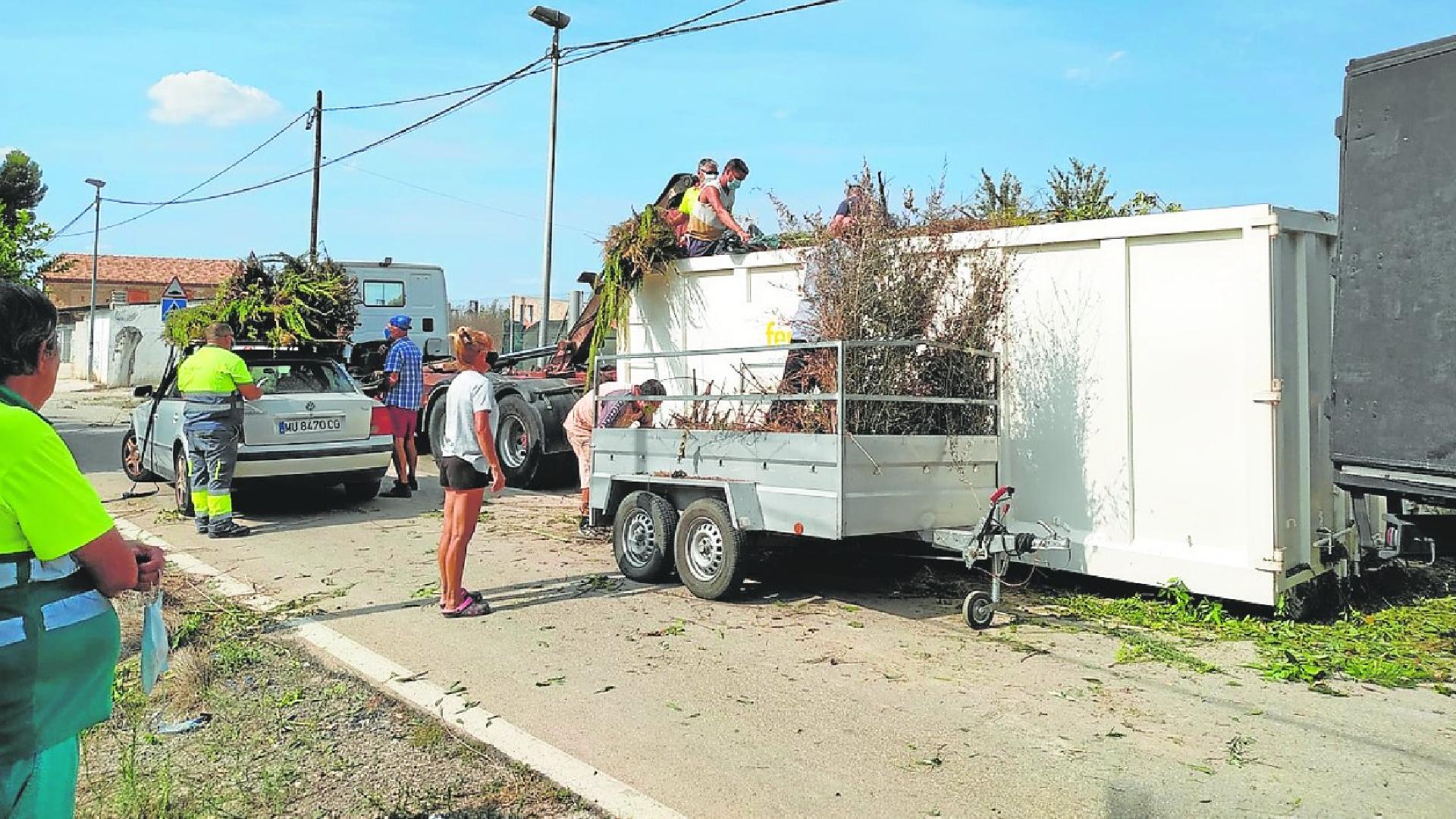 El servicio de recogida de podas retira 182 toneladas en tres años en Murcia