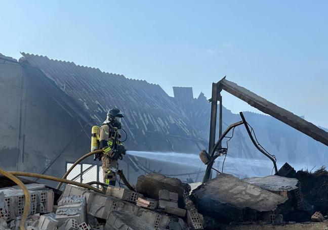 Arde por completo una nave de plantas aromáticas en Fuente Álamo