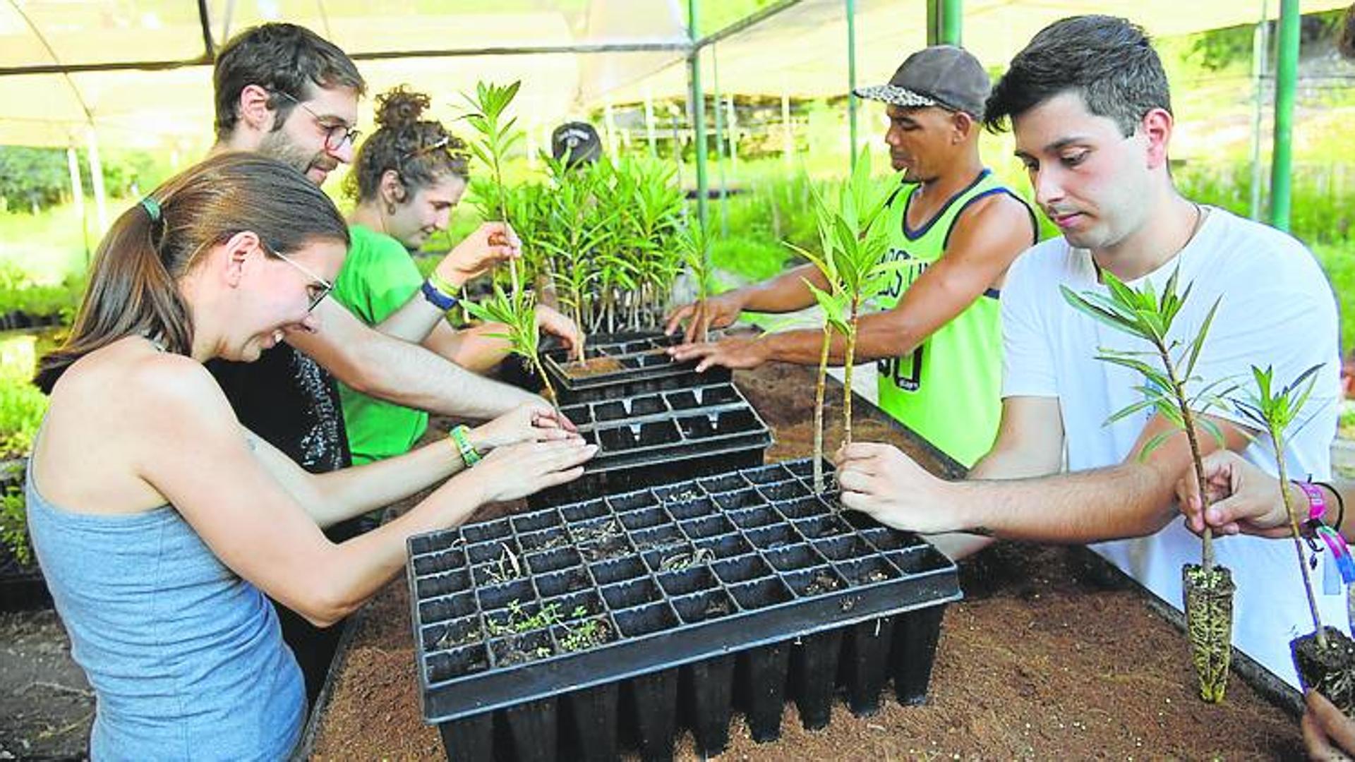 Siembra de plantas para el Bosque Romano en Cartagena