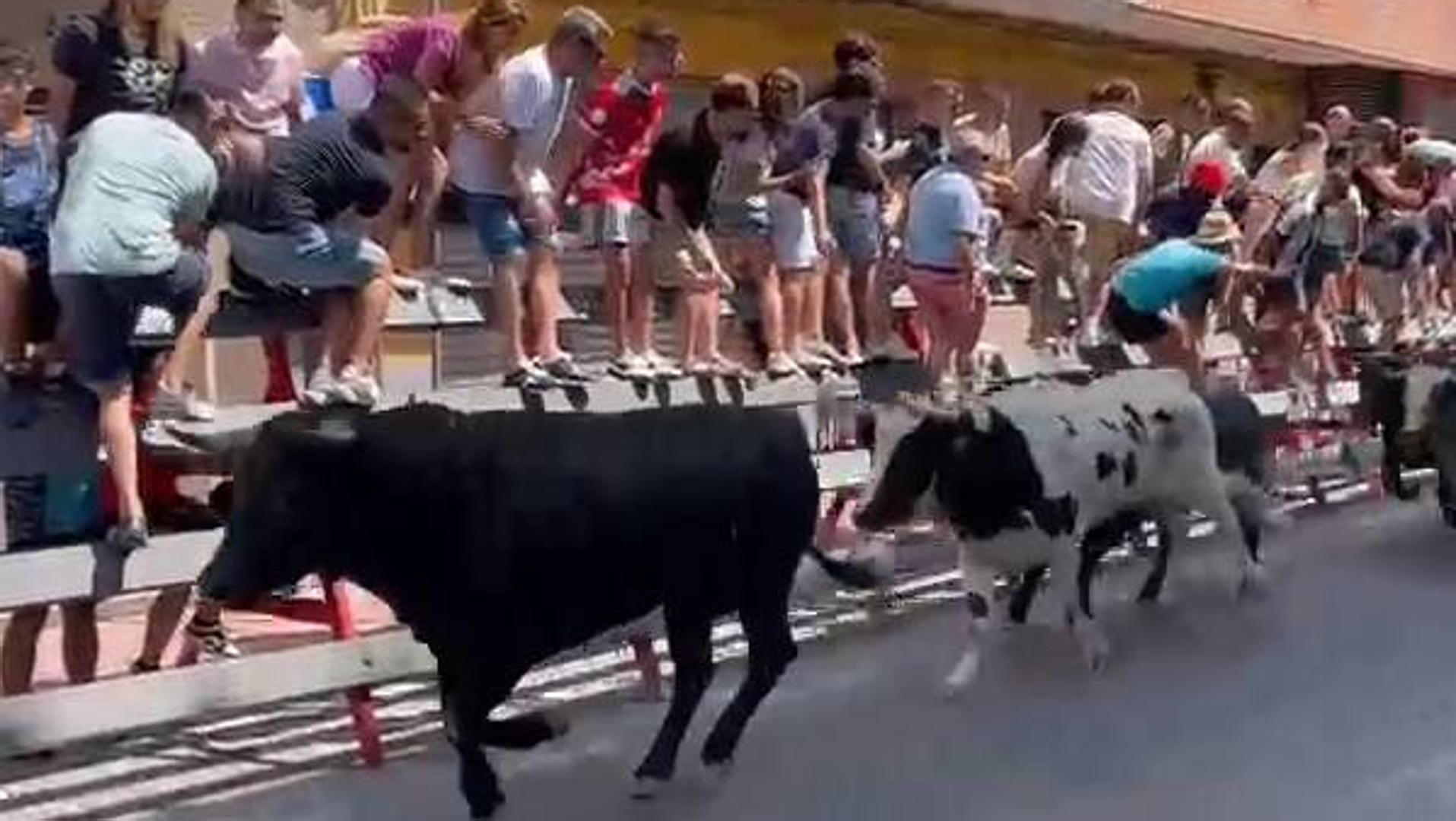 Rápido y limpio segundo encierro de la Feria de Blanca