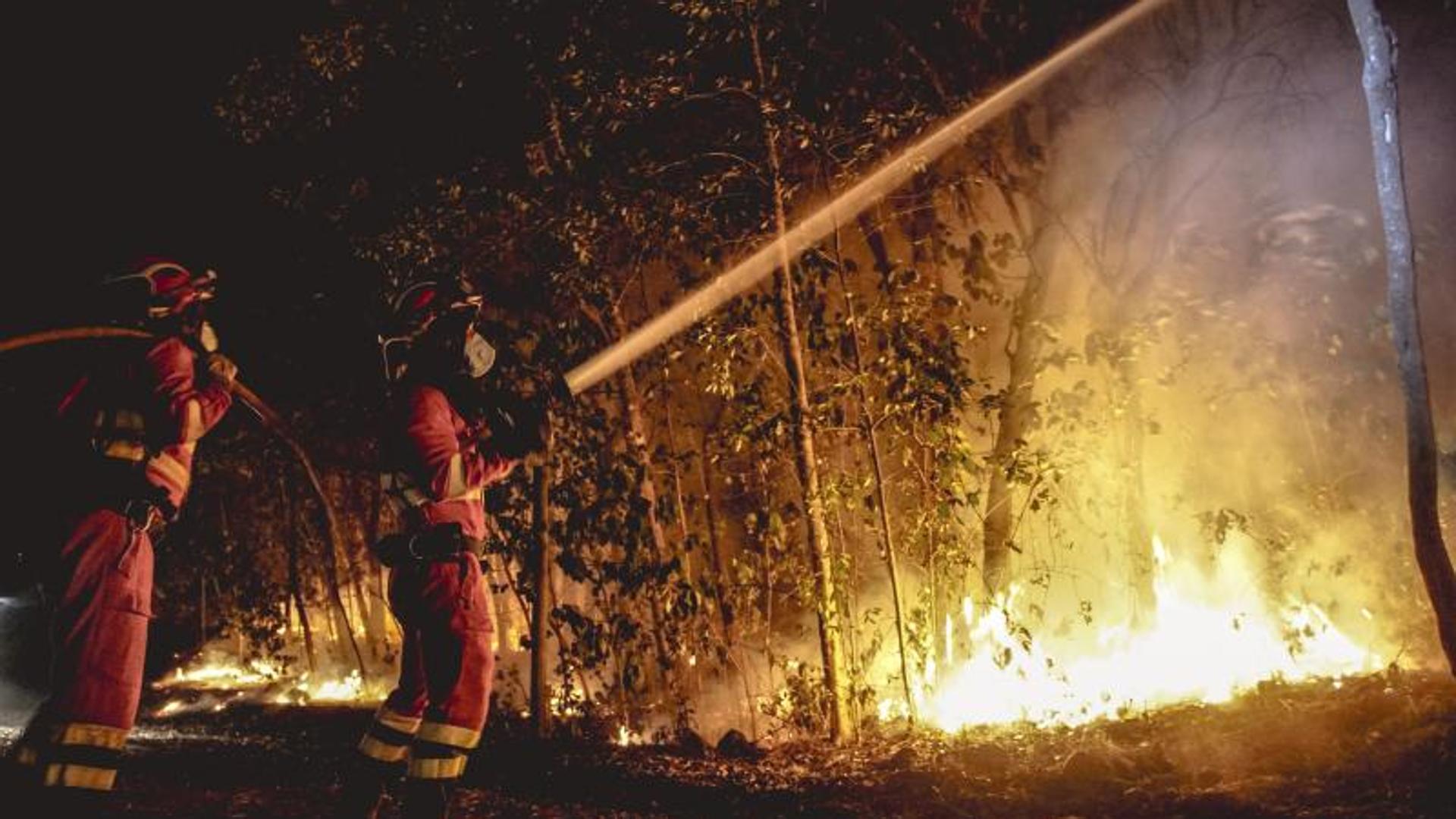 El incendio de Tenerife ha sido intencionado