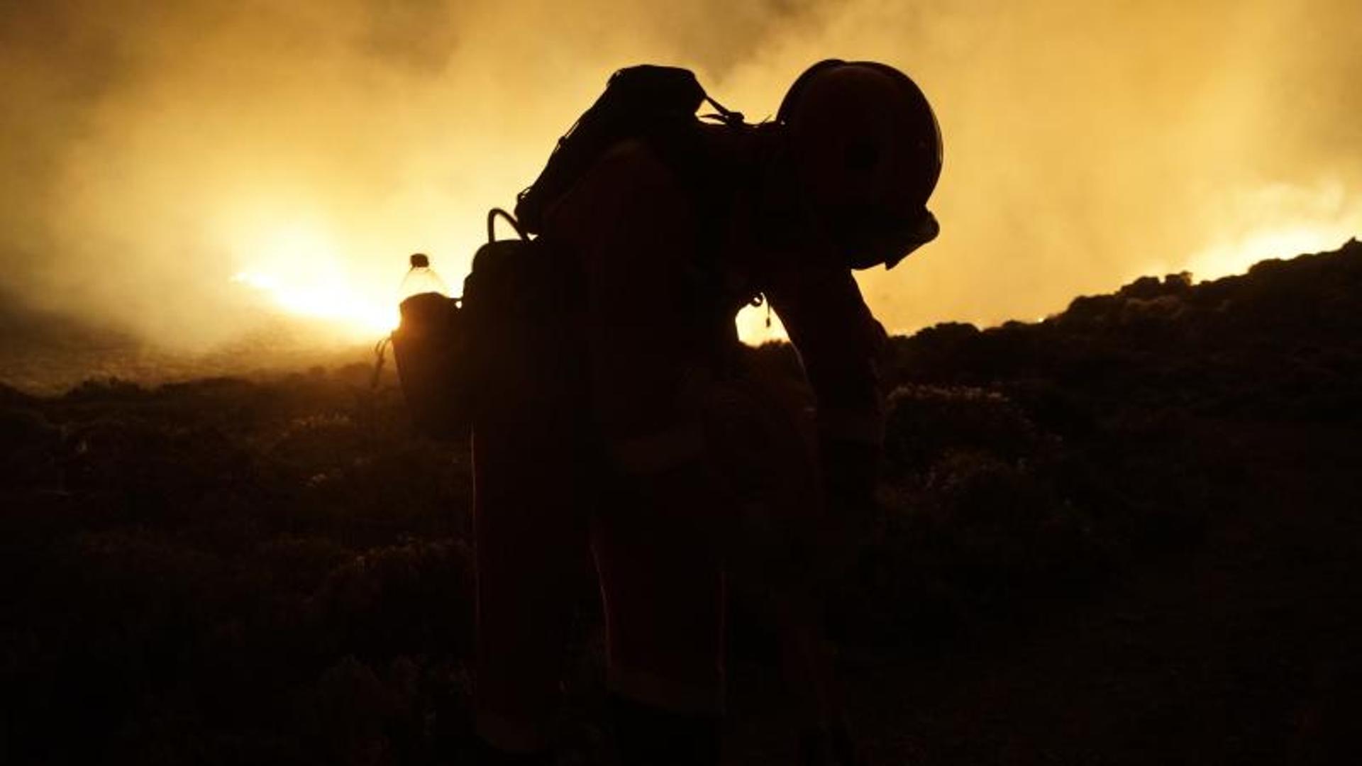 Sánchez declarará zona catastrófica el área calcinada por el incendio de Tenerife