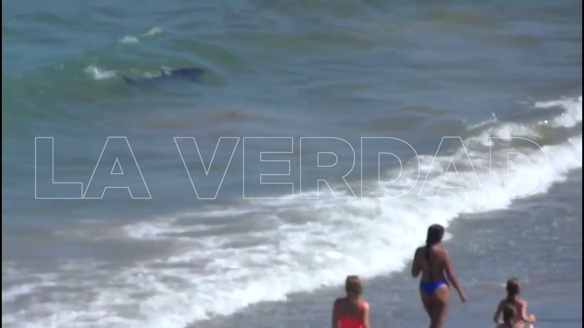 Una experta tranquiliza a los bañistas de La Manga y asegura que el animal avistado es un atún