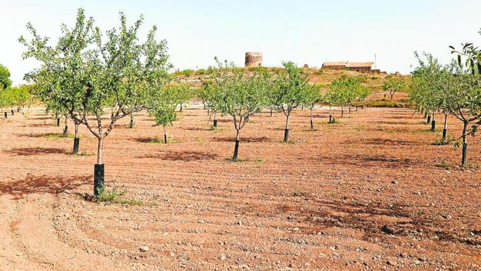 Cemex paraliza temporalmente su proyecto de investigación minera en Cartagena para «replantear su alcance»