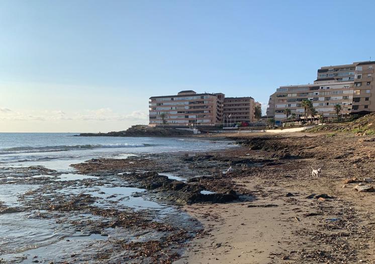 Área propuesta por Sueña Torrevieja en Cabo Cervera.