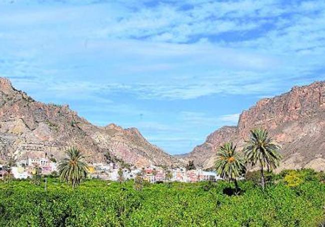 Vista panorámica del Valle de Ricote, con Ojós al fondo y flanquedo por las sierras de Ricote y La Navela