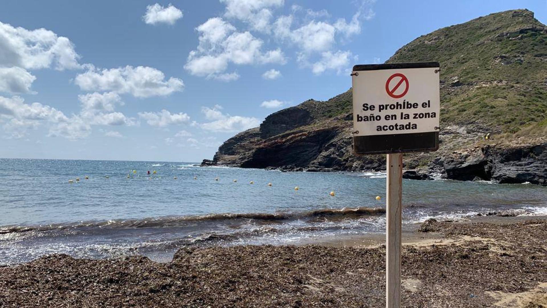 Cierran al baño Cala Reona otra vez por el segundo vertido de aguas fecales estival