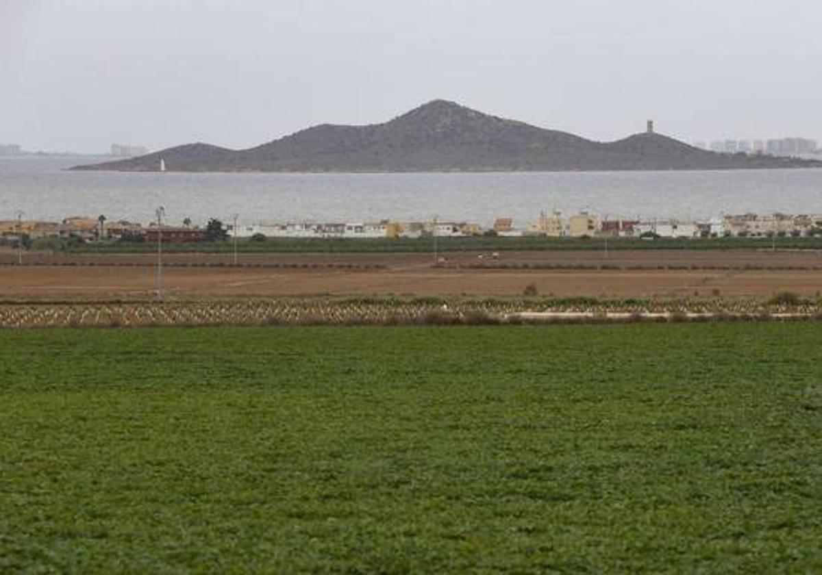 El Ministerio advierte sobre el riesgo de nuevas urbanizaciones para el Mar Menor