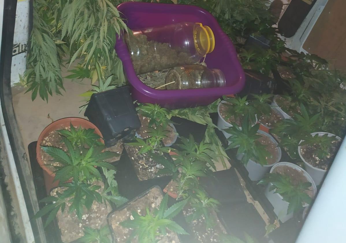 Sorprendidos mientras cargaban su furgoneta de plantas de marihuana y hachís en Molina de Segura