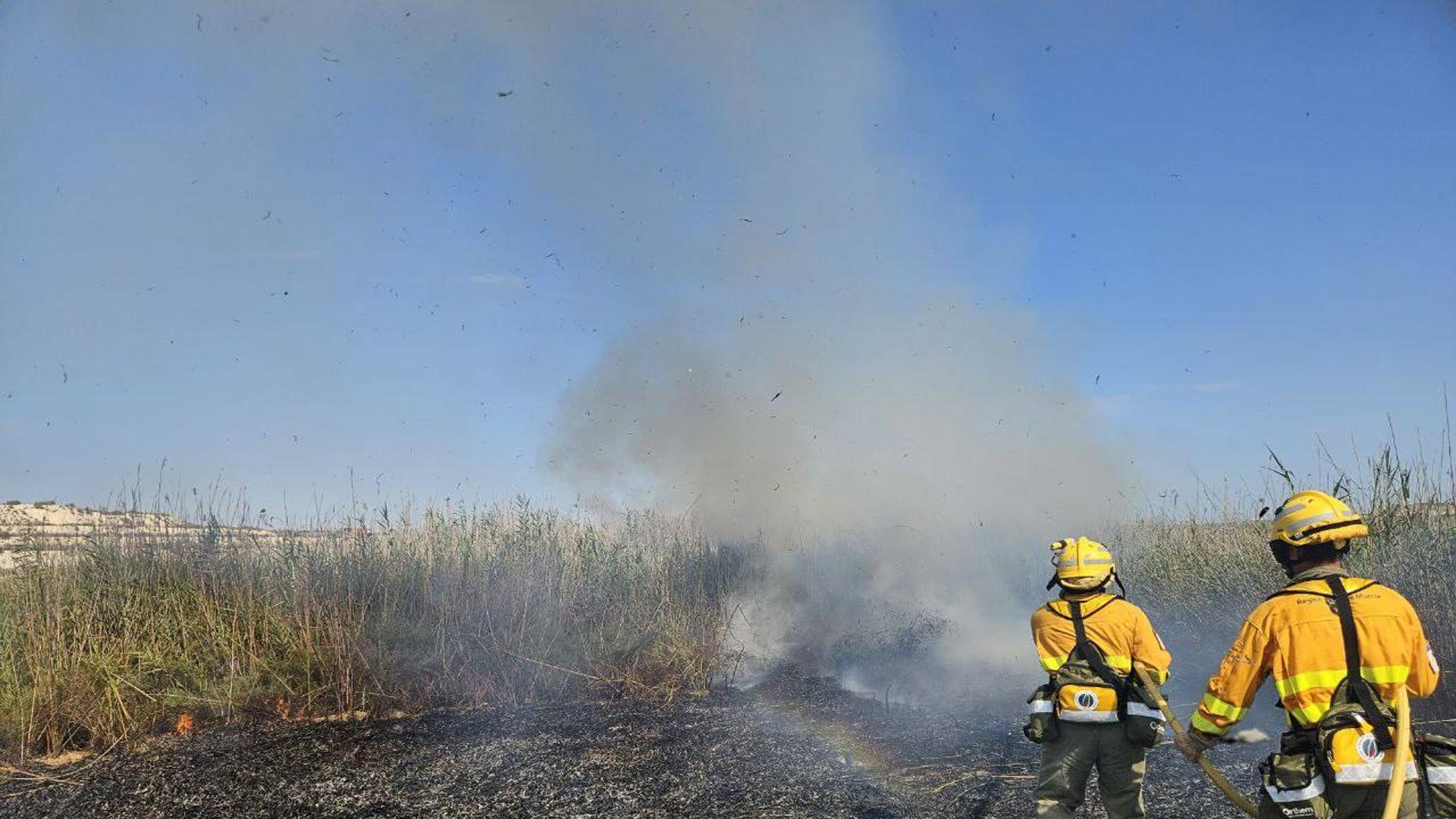 Un incendio en Ceutí arrasa con 6.000 metros cuadrados de terreno