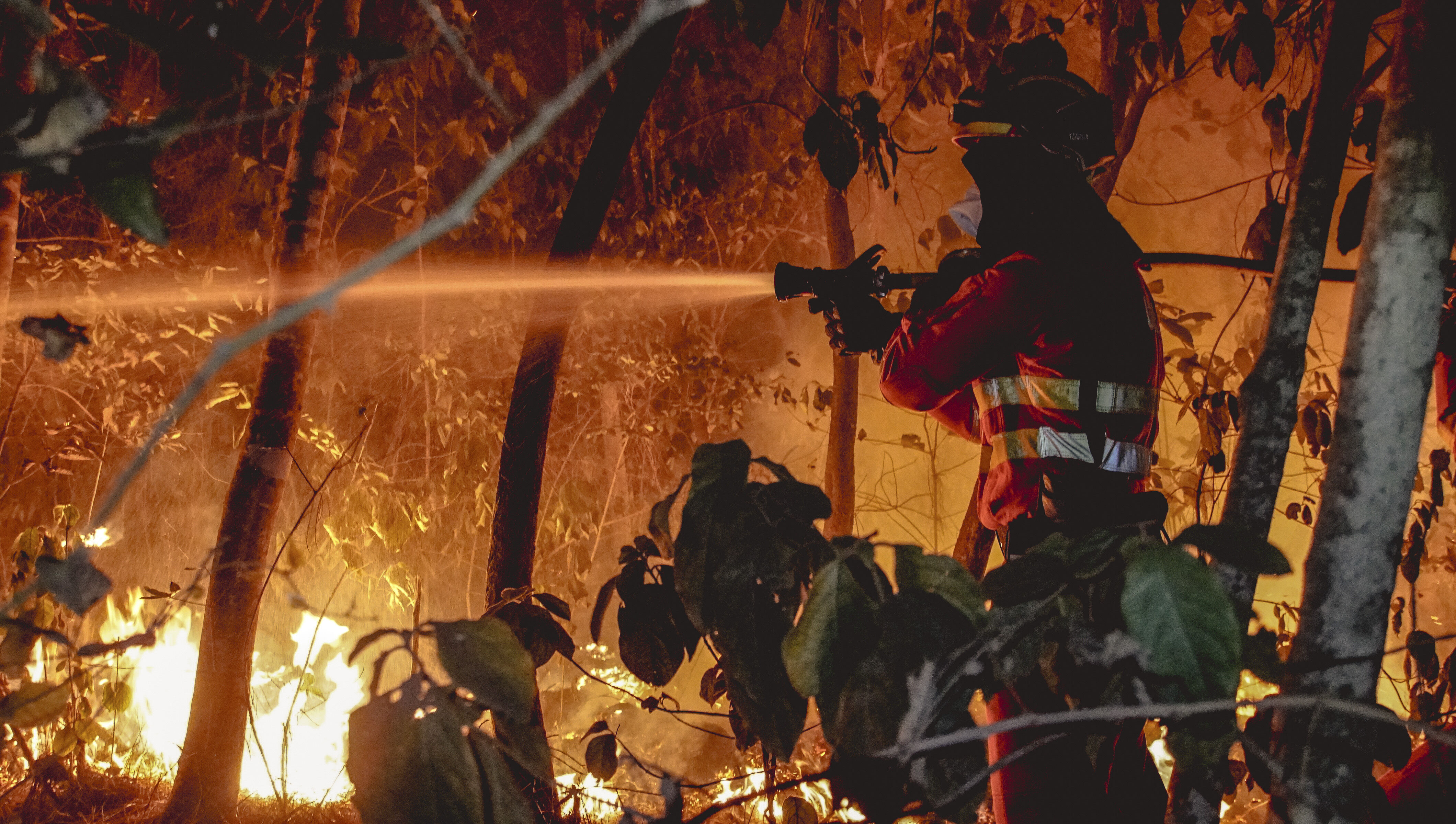 Efectivos de la UME en labores de extinción del incendio forestal que afecta a la isla de Tenerife.