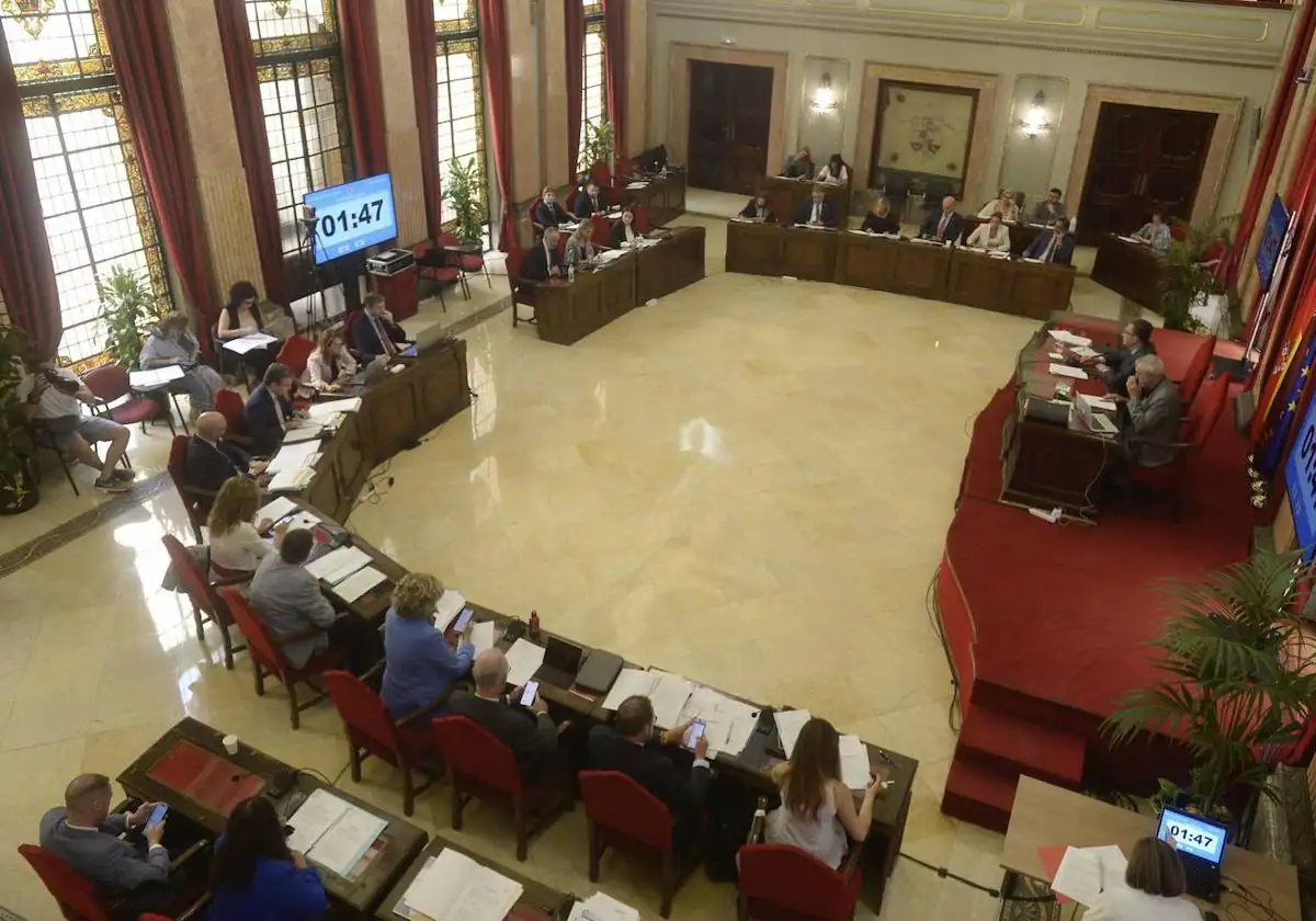 División total en el Pleno de Murcia en relación a la comisión del incendio de Atalayas