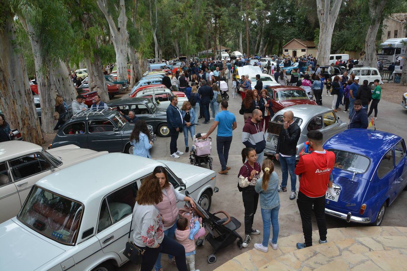 Concentración de coches y motos antiguas en Abarán