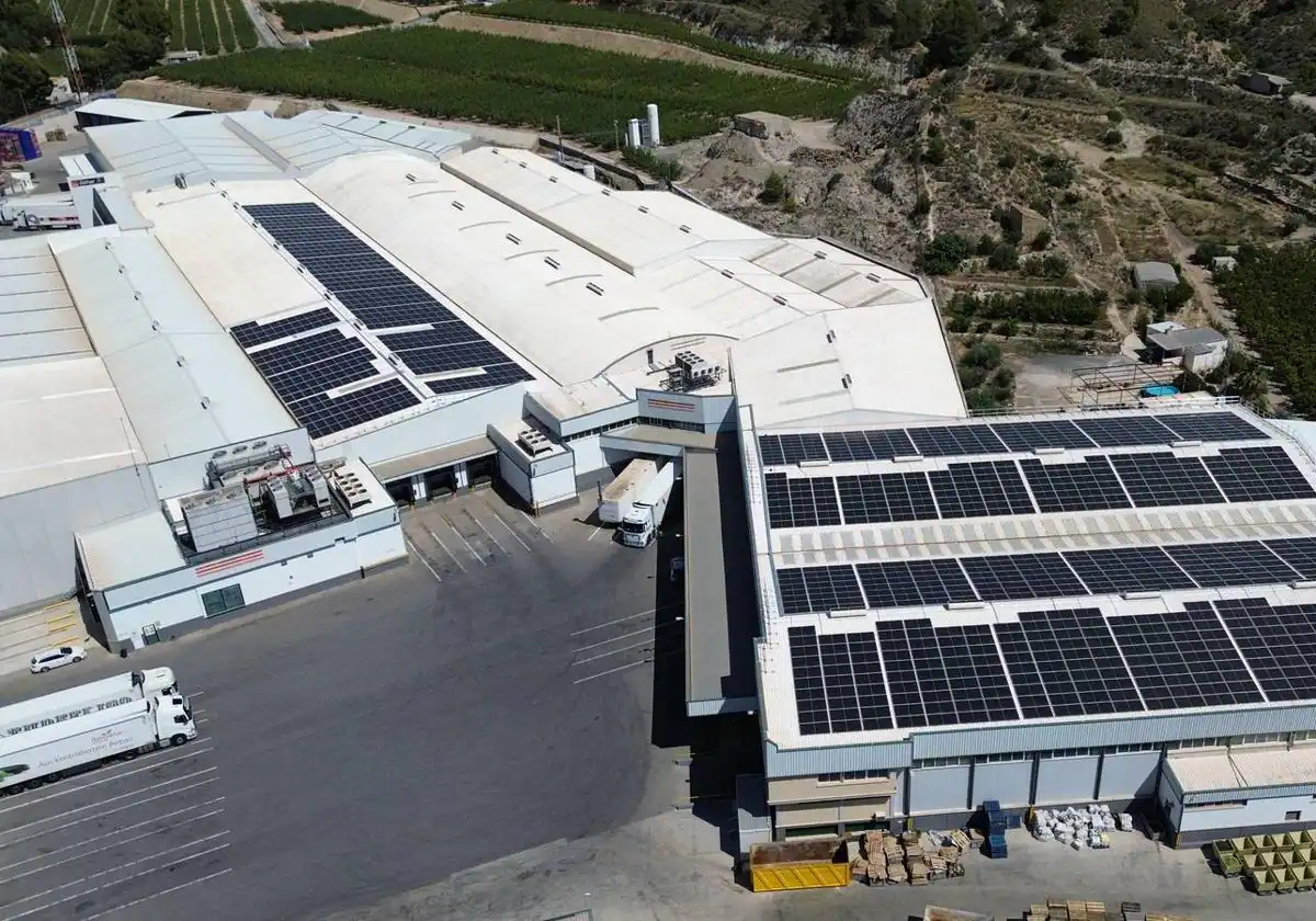 Naturgy instala una planta fotovoltaica de autoconsumo en las naves de Frutas Esther de Abarán