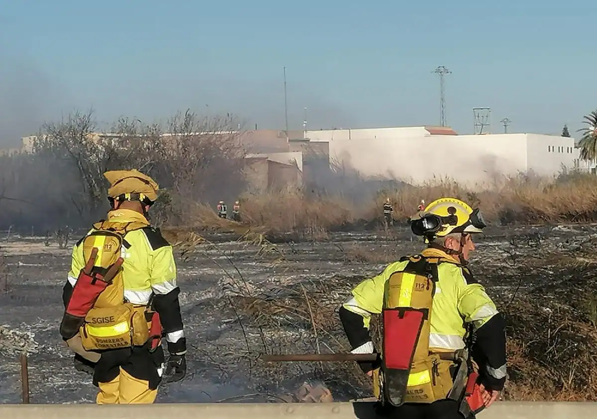 Imagen principal - Un incendio calcina una parcela de matorral a las afueras de Orihuela