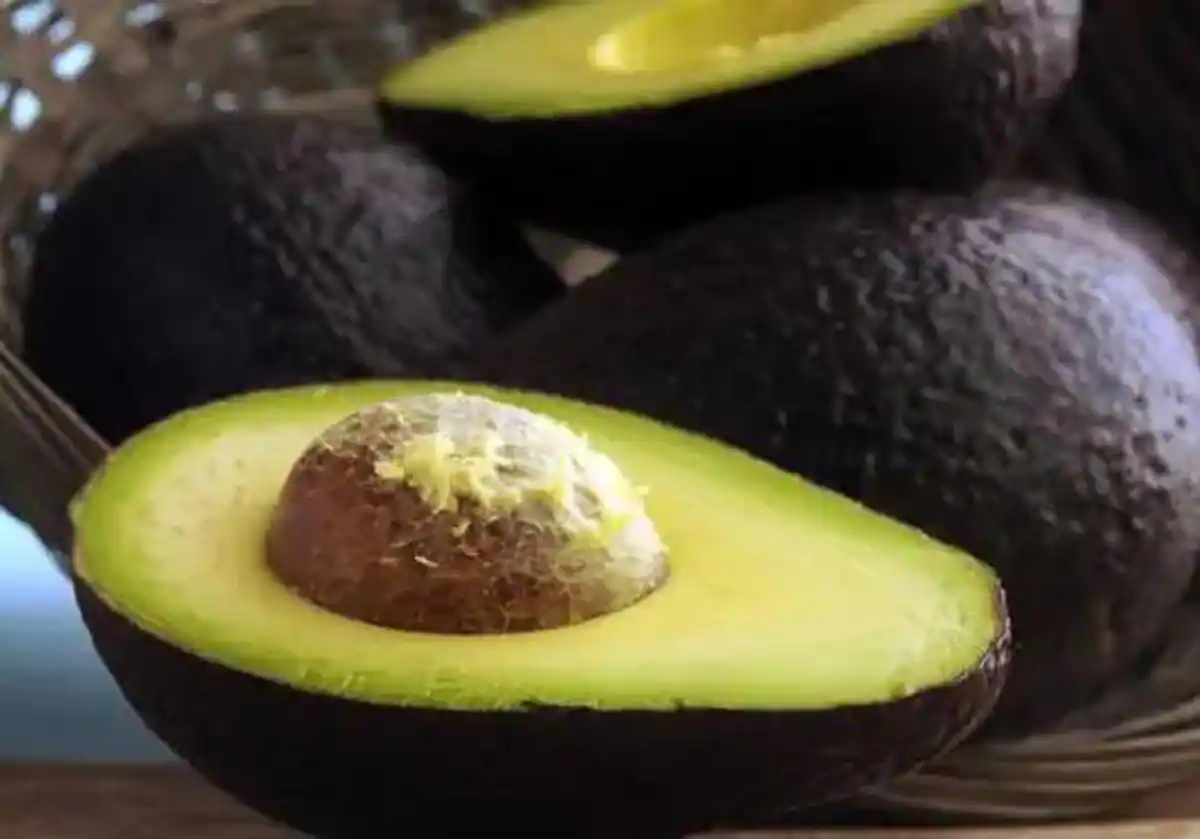 Olvídate de tirar tus aguacates: trucos para conservarlos en el frigorífico