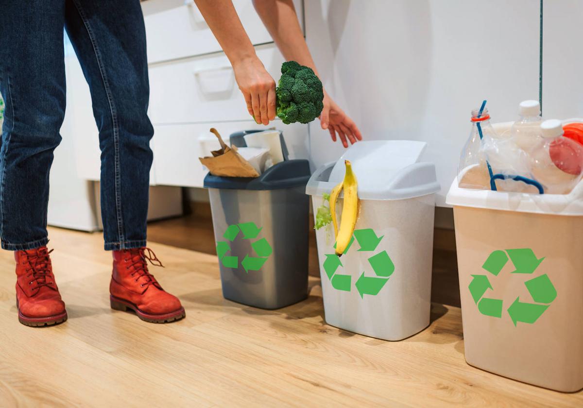 Por aquí se nos va el dinero: estos son los alimentos que más tiramos a la basura