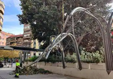 El temporal de viento azota la costa y provoca accidentes y caídas de árboles