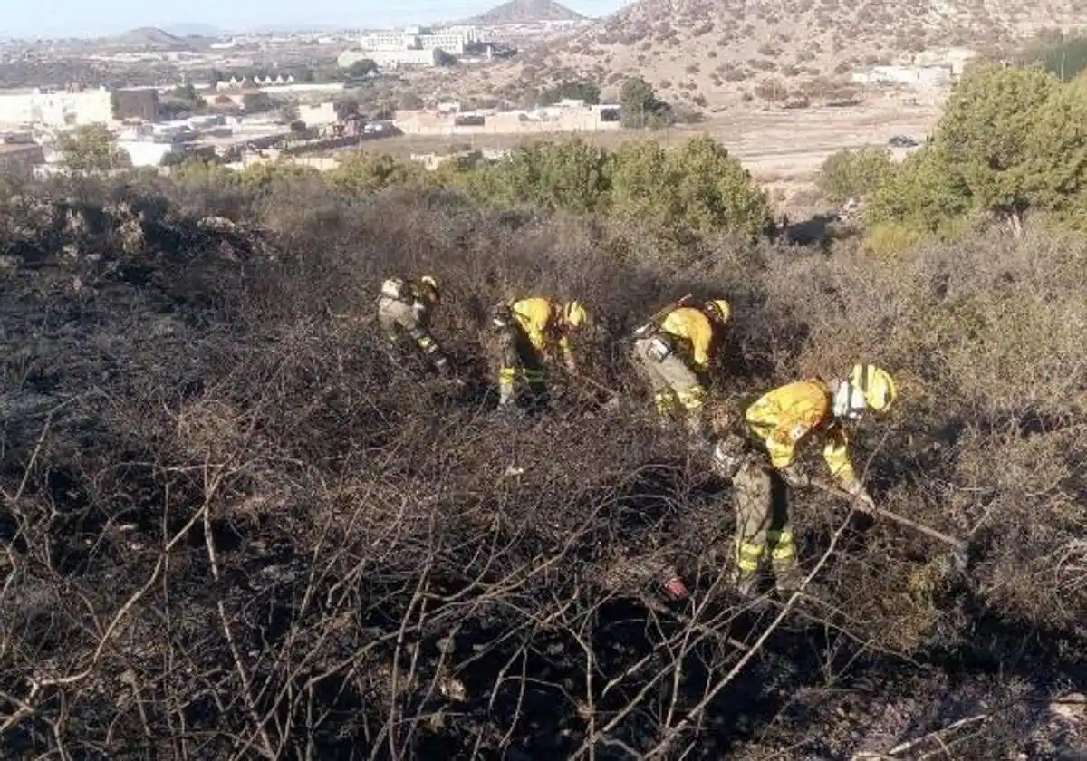 Un conato de incendio forestal calcina media hectárea en Cartagena