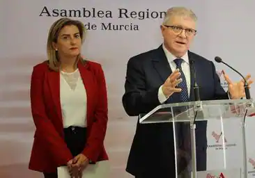 El Ejecutivo regional recurrirá la ley de amnistía al Constitucional «en cuanto esté aprobada»