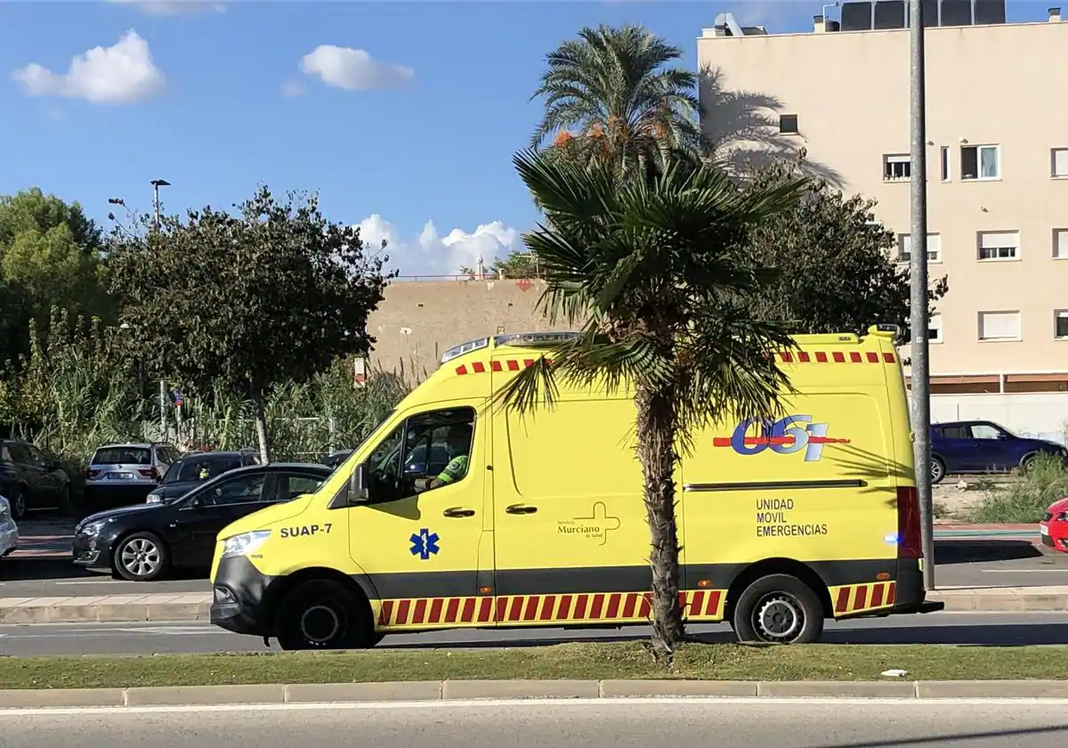 Mueren dos camioneros al ser arrollados en la autovía a la altura de Murcia