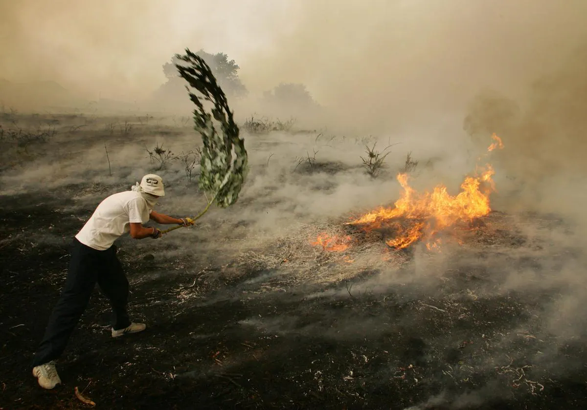 ¿Será la IA capaz de ‘oler’ el humo de un incendio?