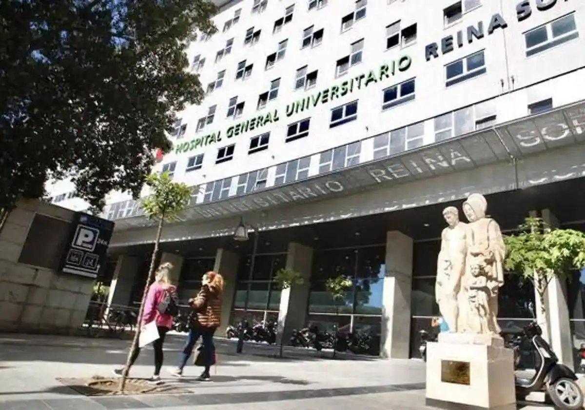 Encuentran en un carril de Alquerías a una anciana perdida en el Reina Sofía