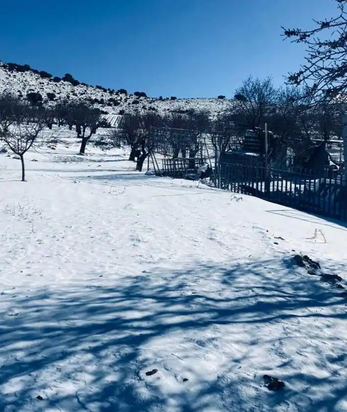 Imagen secundaria 2 - La aldea de Los Odres, en Moratalla, este sábado cubierta de nieve.