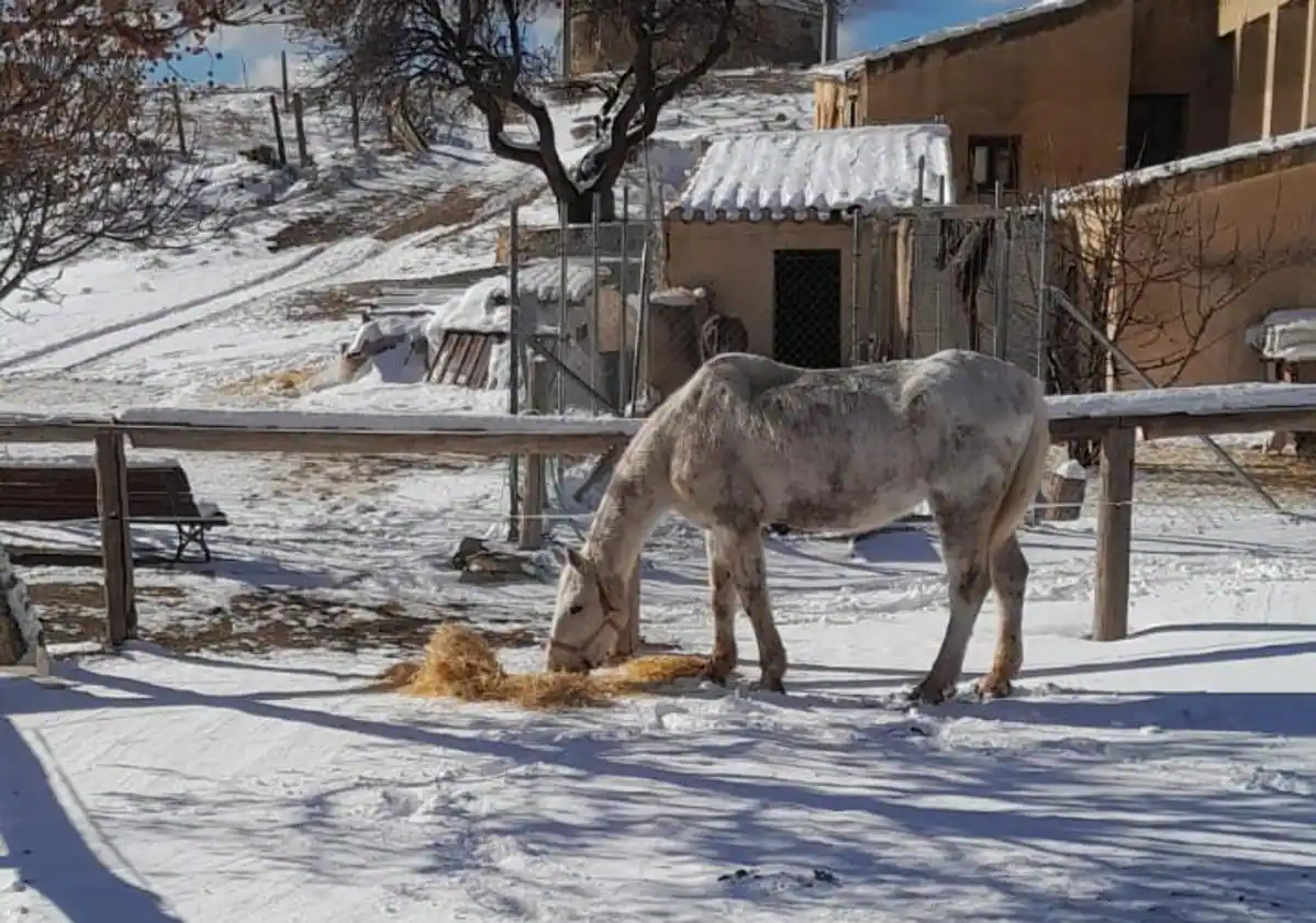 El frente frío deja los primeros copos de nieve del invierno en la Región de Murcia