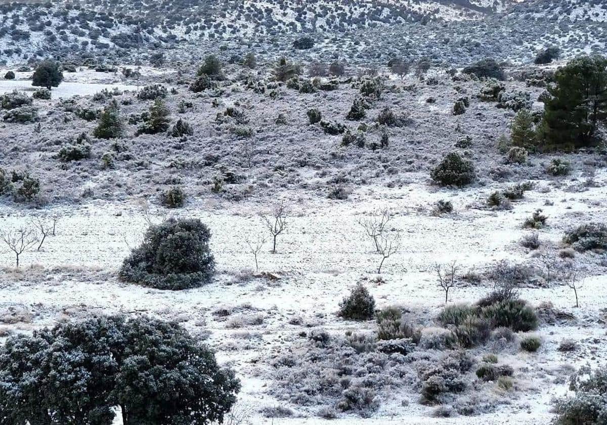 Imagen principal - Nieve en Inazares, este viernes.