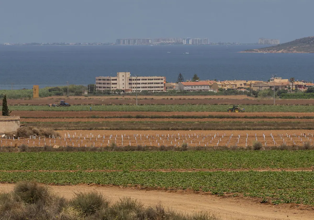 El sector agro, universidades e investigadores se llevan la mayoría de las ayudas para recuperar el Mar Menor