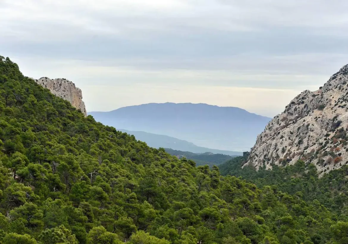 Territorio Sierra Espuña espera dos millones en ayudas de la UE