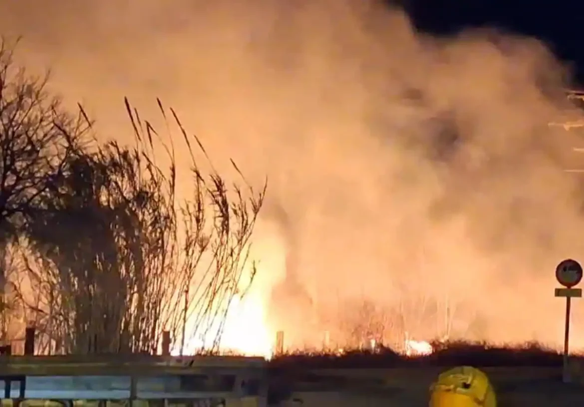 Un incendio de cañas alarma a los vecinos del barrio del Carmen de Murcia