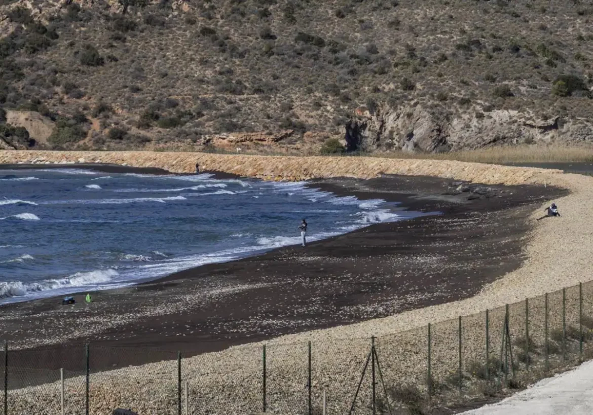 Los vecinos de Portmán exigen recuperar el baño en la playa de San Bruno
