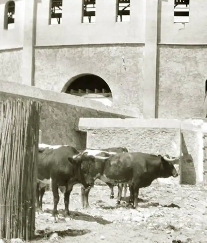Imagen secundaria 2 - La plaza se inauguró en 1907 con una corrida de la ganadería de Arriba Hermanos, que lidiaron los diestros Enrique Vargas 'Minuto', Manuel Mejías 'Bienvenida' y José Moreno 'Lagartijillo Chico'. La capacidad era de 7.000 localidades.