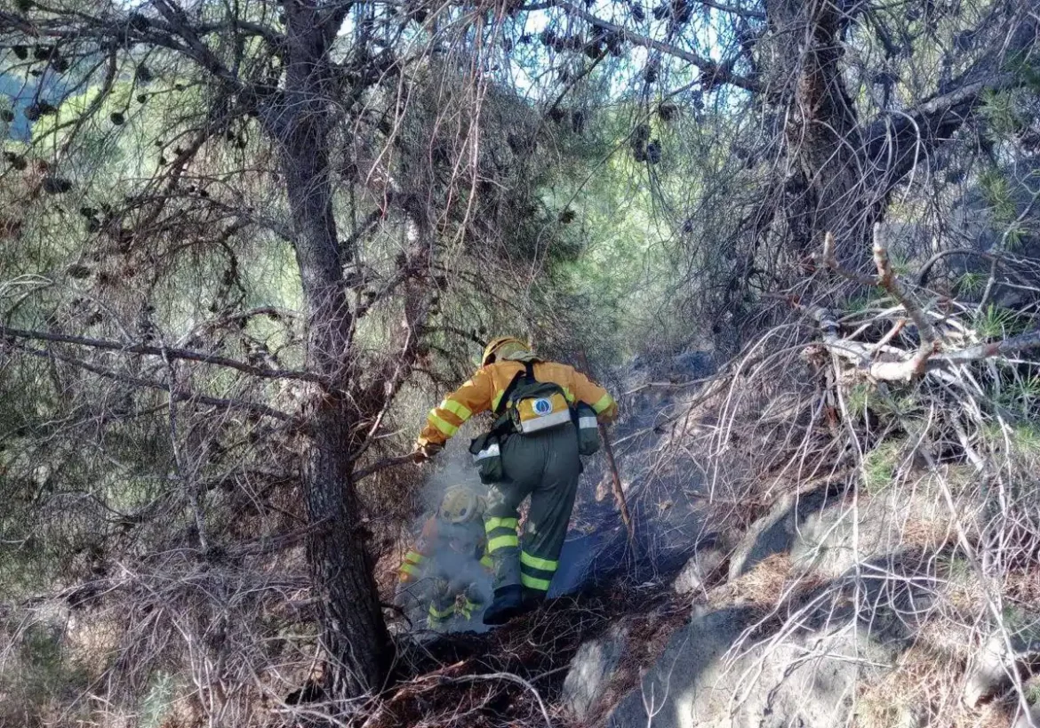 Se reactiva el incendio del monte Miravete de Murcia