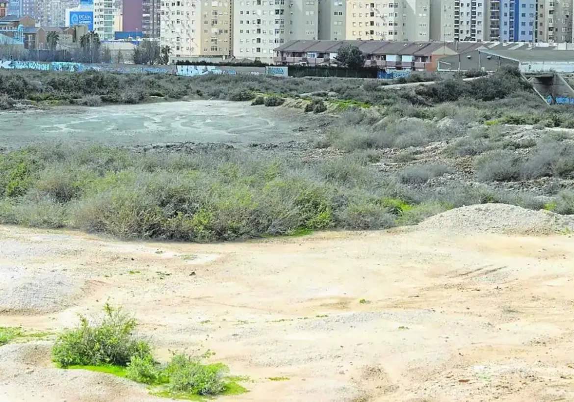 Noelia Arroyo exige la descontaminación de El Hondón y así «dar uso a esos terrenos»