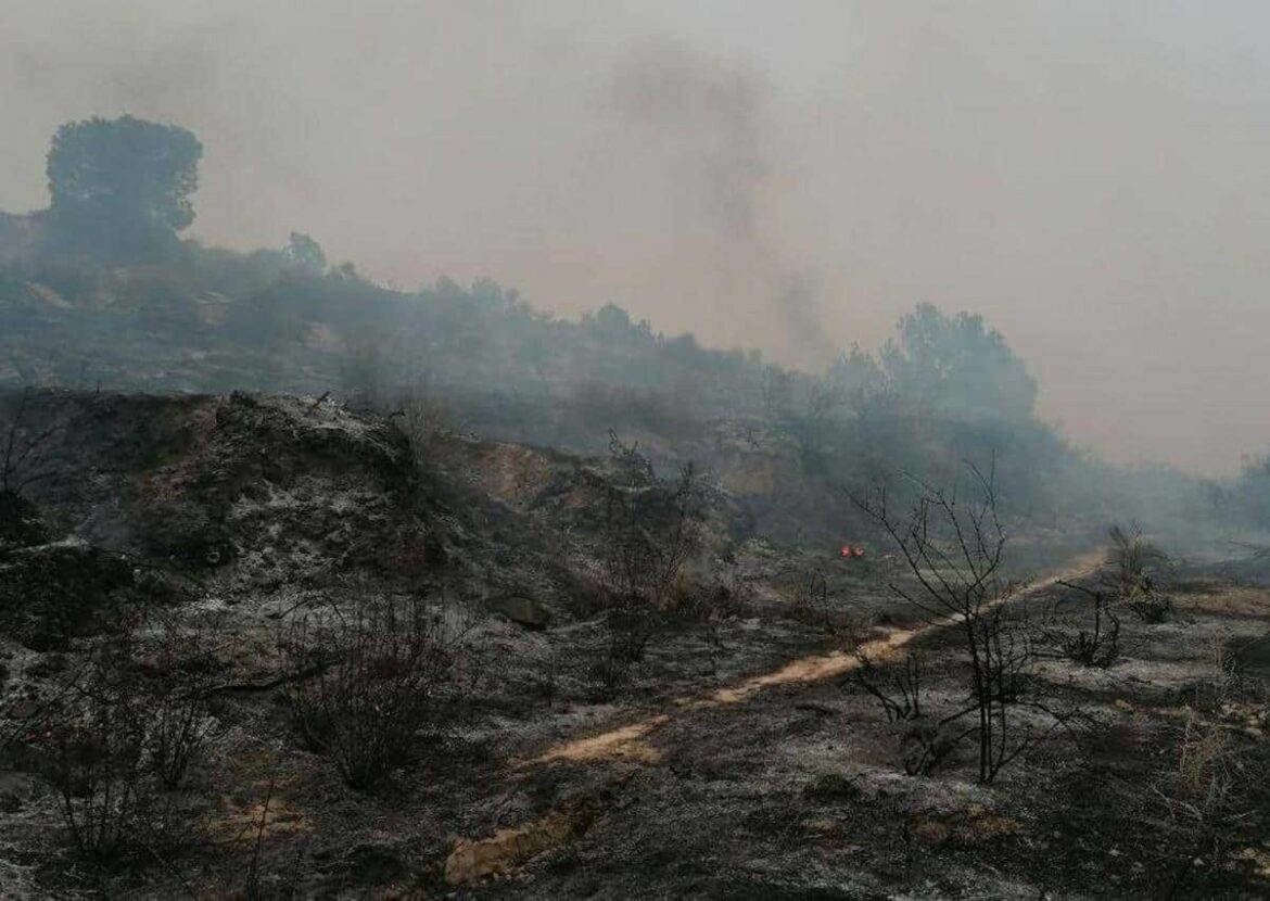 Un quad accidentado provoca un incendio forestal en Lorca