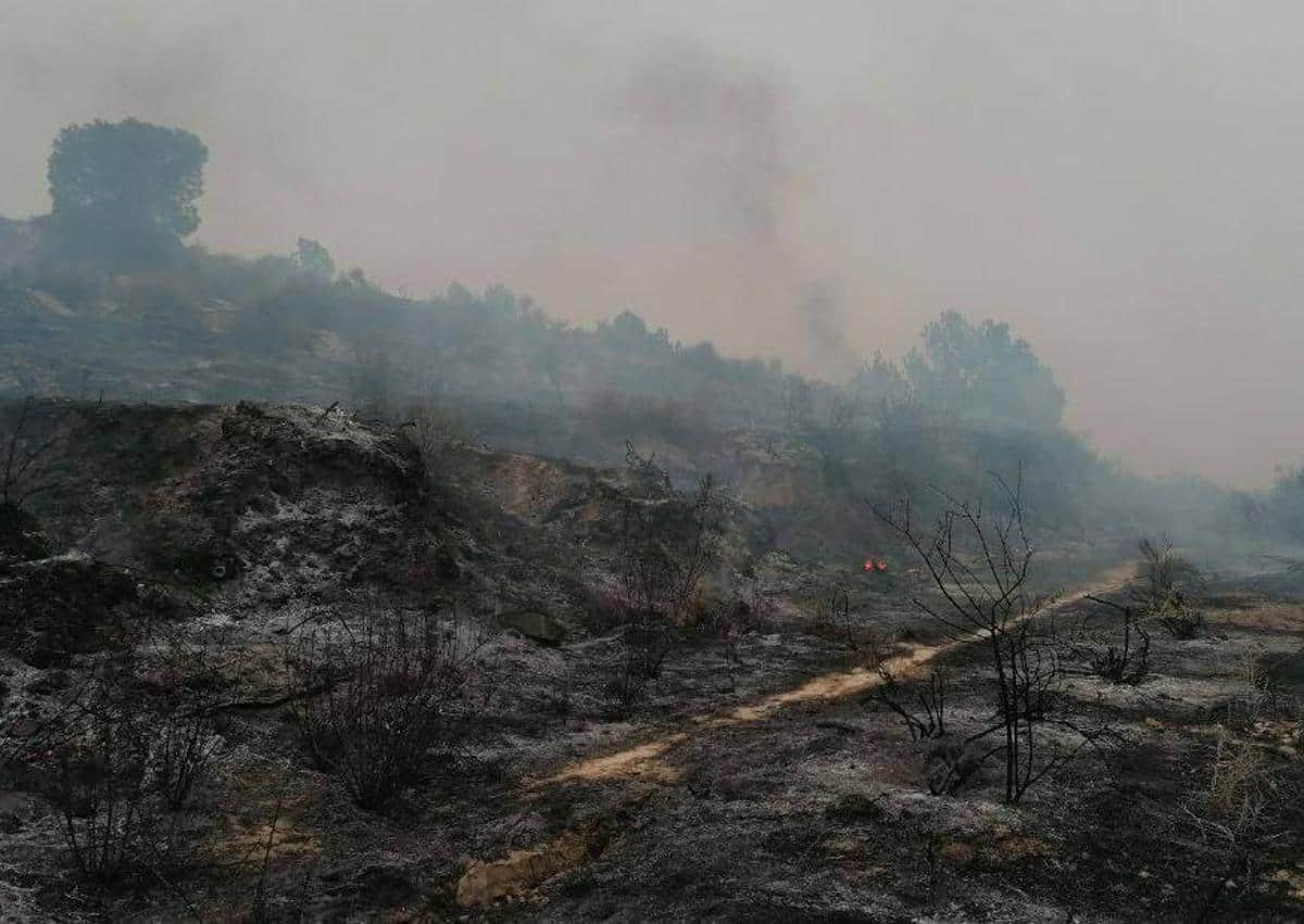 Imagen secundaria 1 - Zona calcinada por el fuego y estado del quad accidentado tras el incendio.