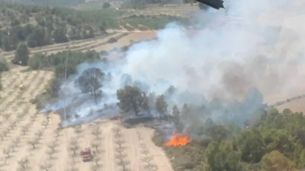 Un atendido por quemaduras e inhalación de humo en un incendio forestal en Moratalla