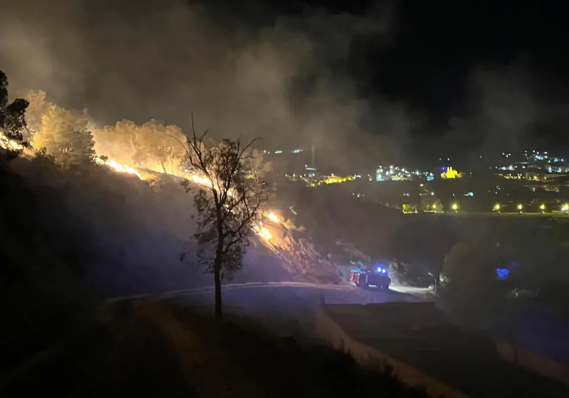 Bomberos trabajan en un incendio forestal en Cieza