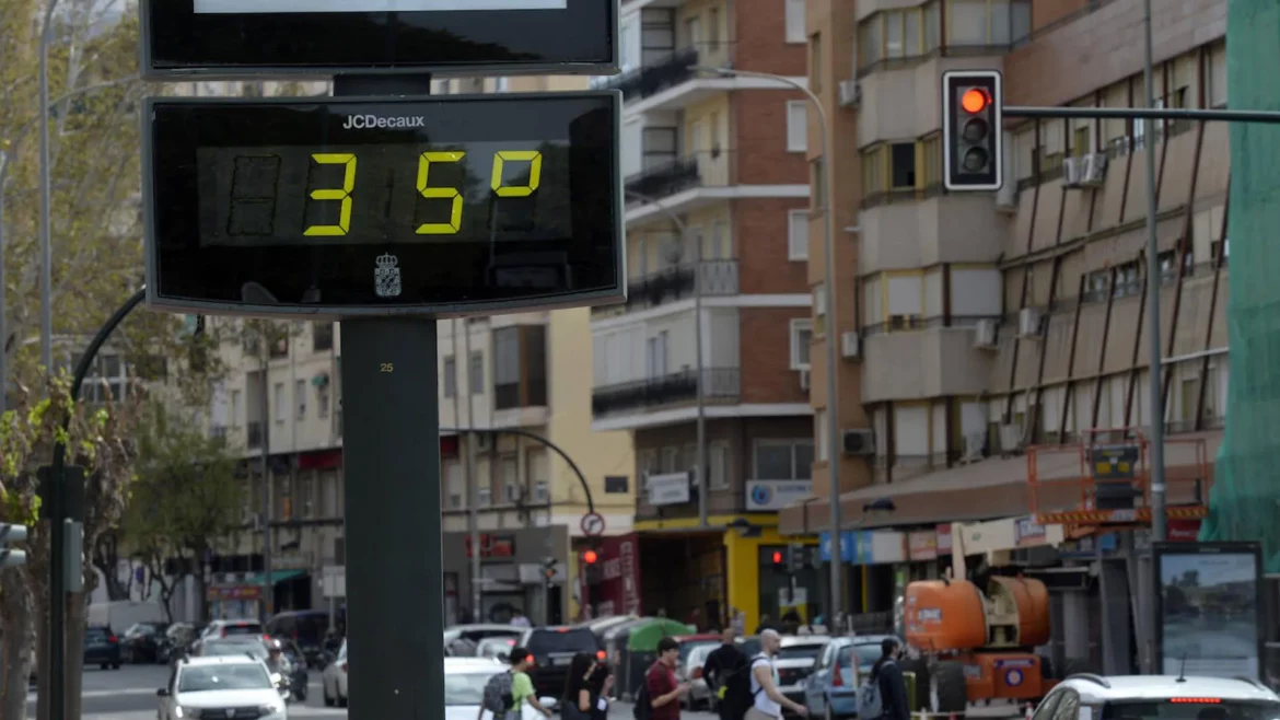 El año 2024 es por ahora el año más cálido en la Región de Murcia de la serie histórica