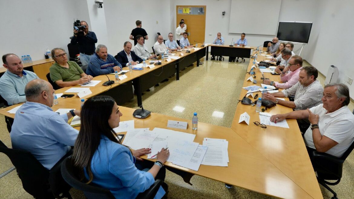 El sector del limón persigue un ajuste ordenado ante la superproducción
