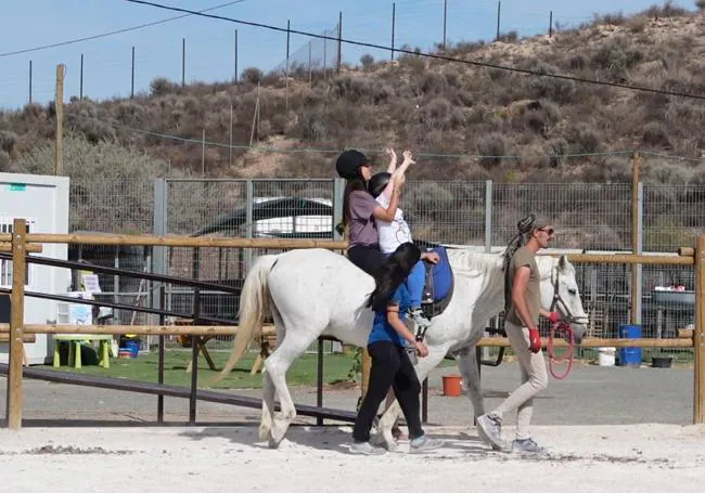 Una fundación de animales se esconde en el antiguo ‘fiestódromo’ de la Universidad de Murcia