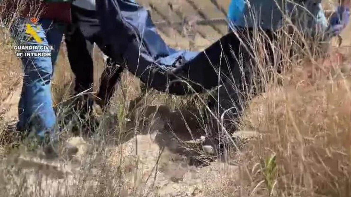 Hallan los cuerpos de un matrimonio alemán desaparecido hace un mes en Alicante