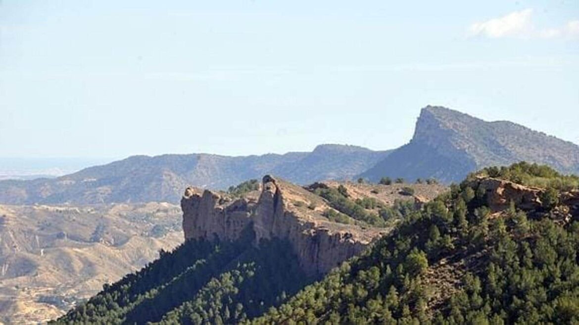 Muere un senderista de 56 años en una pista forestal del Puerto de la Cadena
