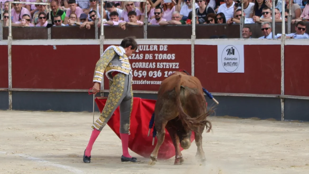 Lleno total en el regreso de los toros a Alcantarilla